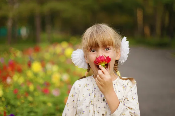 Девушка пахнущий цветок — стоковое фото