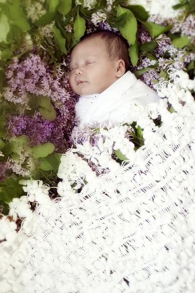 Νεογέννητο κορίτσι τυλιγμένο σε λευκό, κοιμούνται ειρηνικά μεταξύ της flo — Φωτογραφία Αρχείου