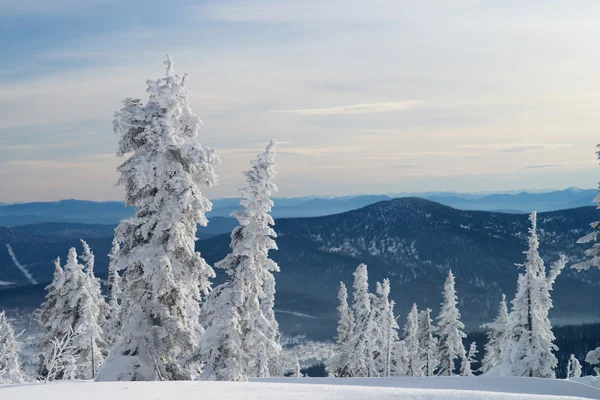 Landscape of north — Stock Photo, Image