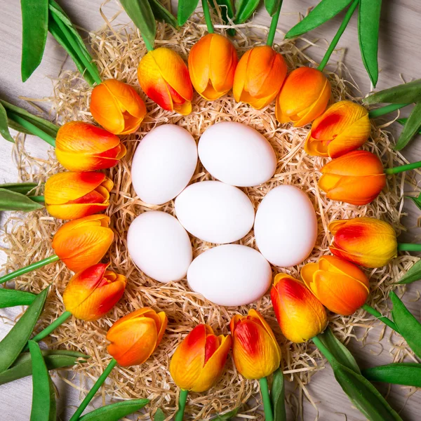 Koncepcja Wielkanoc - bliska białych jaj i kwiatów tulipanów — Zdjęcie stockowe