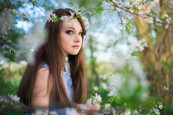 Retrato de joven mujer caminando en el jardín de flor de cerezo —  Fotos de Stock