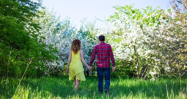 Back view of happy couple walking in summer garden — Stock Photo, Image