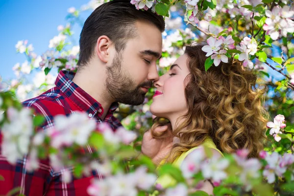 Close up portrait of young beautiful couple kissing in blooming — Stock Photo, Image