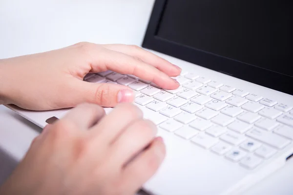 Female hands typing on the keyboard Stock Picture