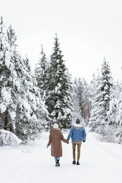 Love Happiness Relationship Concept Back View Couple Love Walking Winter — Stock Photo, Image