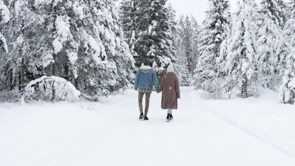 Rückansicht Des Niedlichen Verliebten Paares Beim Wandern Winterwald — Stockvideo