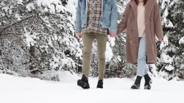 Birbirine Aşık Çiftler Ele Tutuşup Kış Ormanlarında Yürüyorlar — Stok video