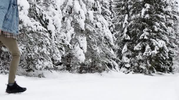 Tyłu Widok Człowiek Ciągnąc Sanie Jego Szczęśliwy Dziewczyna Zimowym Lesie — Wideo stockowe