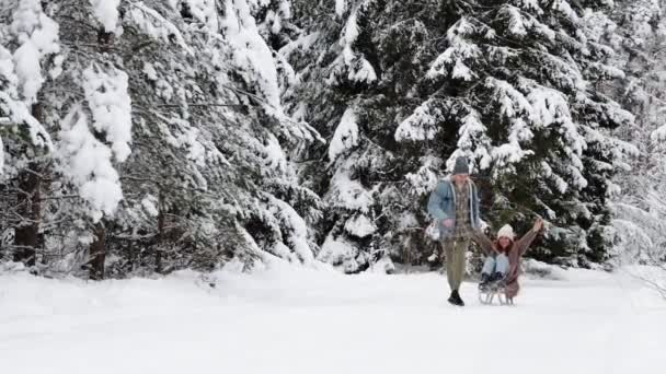 Mutlu Yakışıklı Adam Kış Ormanında Kız Arkadaşıyla Kızak Çekiyor — Stok video