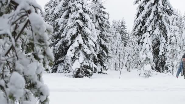 Vedere Laterală Fericit Frumos Trăgând Sania Prietena Lui Pădure Iarnă — Videoclip de stoc