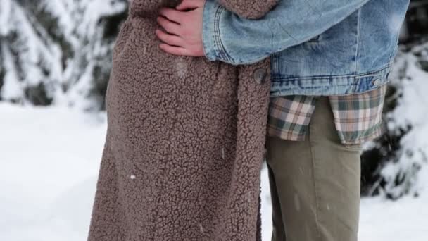 Conceito Amor Felicidade Close Casal Jovem Feliz Abraçando Floresta Inverno — Vídeo de Stock