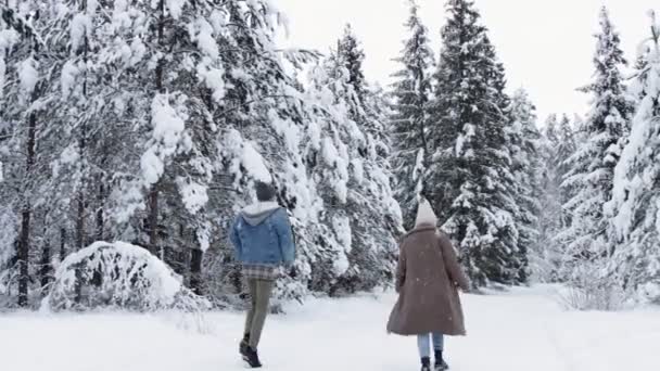 Aşk Mutluluk Kavramı Mutlu Çiftlerin Kış Ormanlarında Yürümeleri Koşmaları Eğlenmelerinin — Stok video