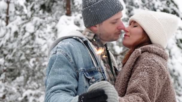 快乐和浪漫的概念 一对可爱的情侣在冬天的森林里摆姿势和火花接吻 — 图库视频影像