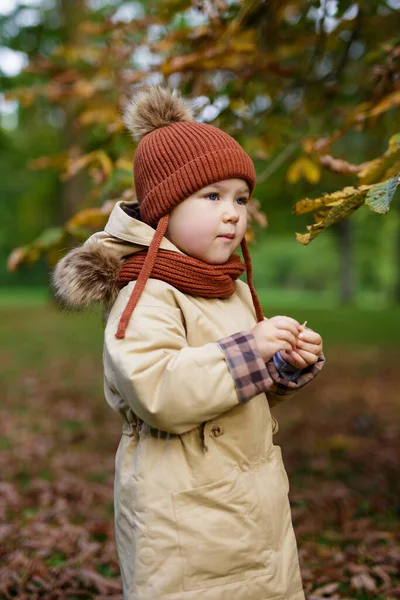 Porträt Eines Niedlichen Kleinen Mädchens Das Herbstlichen Park Oder Wald — Stockfoto