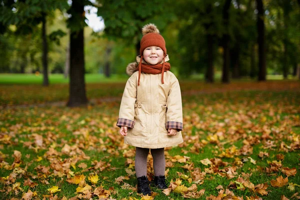 Porträt Eines Niedlichen Kleinen Mädchens Das Mit Laub Herbstlichen Park — Stockfoto