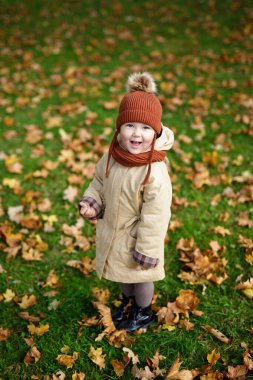 Güz parkında akçaağaç yaprağıyla yürüyen küçük tatlı bir kızın portresi.