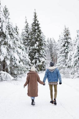 Birbirine aşık çiftlerin kış ormanlarında yürüyüşlerinin arkası.
