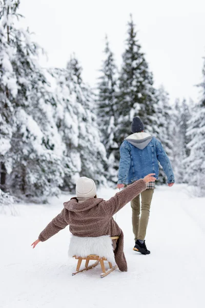 Back View Man Pulling Sledge His Girlfriend Winter Forest Park — Stock Photo, Image