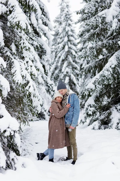 Porträt Eines Süßen Paares Das Sich Winterwald Umarmt — Stockfoto