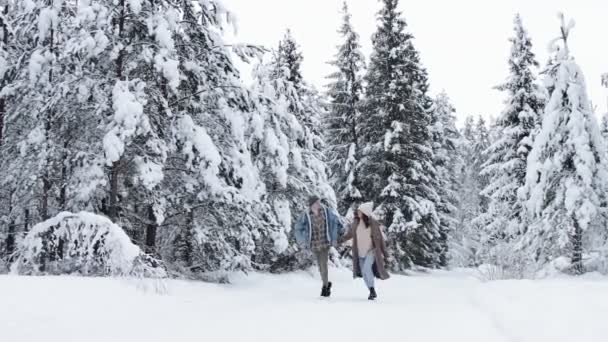 爱情与幸福的概念 一对快乐的夫妇在冬天的森林里散步 — 图库视频影像