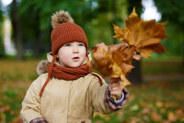 Porträt Eines Niedlichen Kleinen Mädchens Das Herbstpark Mit Laub Spielt — Stockfoto