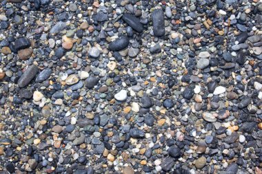 ıslak nehir taş yakın çekim