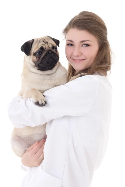 Щаслива молода жінка ветеринар тримає мопса собаку ізольовано на білому — стокове фото
