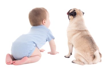 bebek çocuk yürümeye başlayan çocuk ve pug köpek üzerinde beyaz izole görünümünü geri