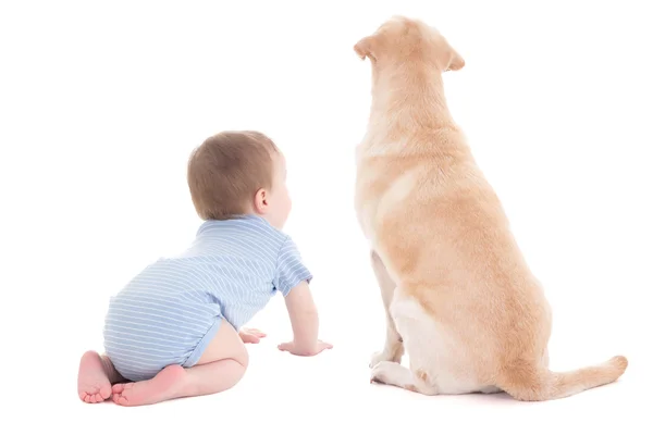 Vue arrière du bambin garçon bébé et golden retriever chien isolé — Photo