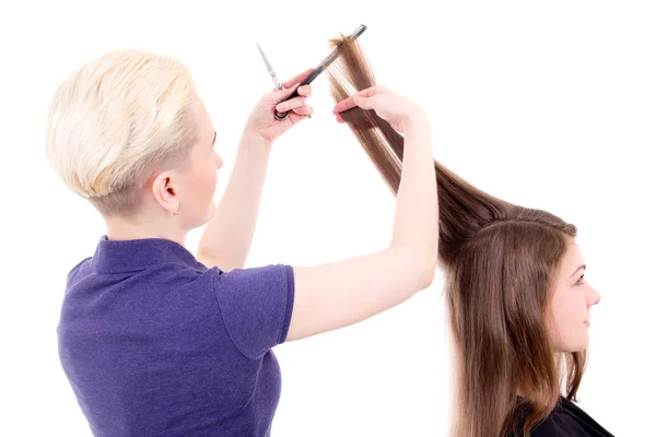 Young beautiful blonde woman hairdresser with client isolated on — Stock Photo, Image