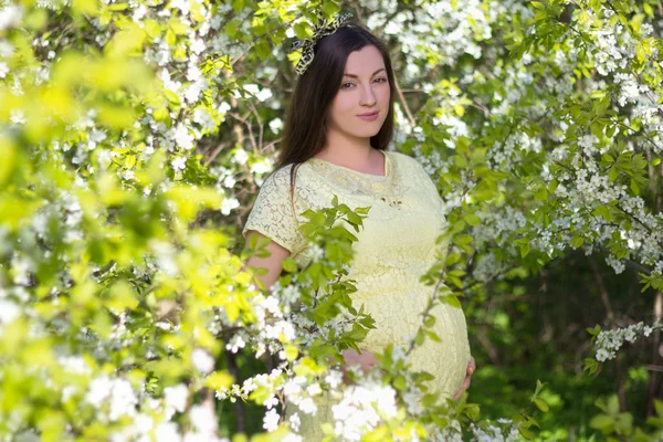 Giardino di bella donna incinta in fioritura ciliegi — Foto Stock