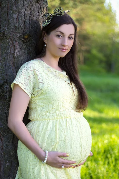 T でツリーの近くに立って美しい妊娠中の女性の肖像画 — ストック写真