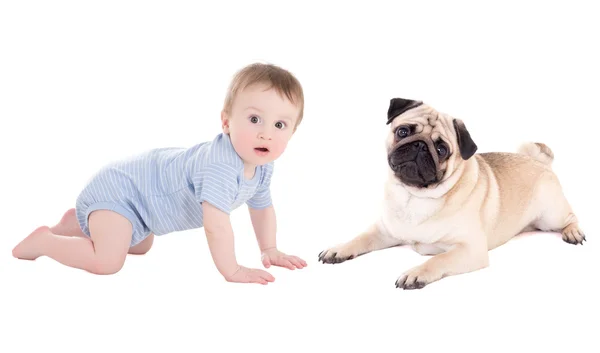 Toddler chłopiec śmieszne dziecko i mops pies leżący na białym tle — Zdjęcie stockowe