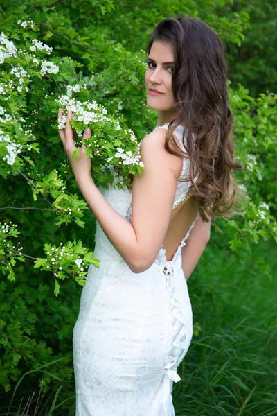 Portret van mooie vrouw in bruiloft jurk in de bloeiende zomer gar — Stockfoto