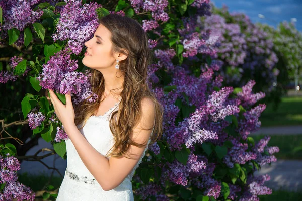 Árbol de hermosa novia cerca de floración lila — Foto de Stock