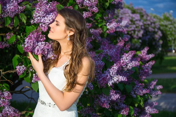 Árvore linda noiva perto de floração lilás — Fotografia de Stock