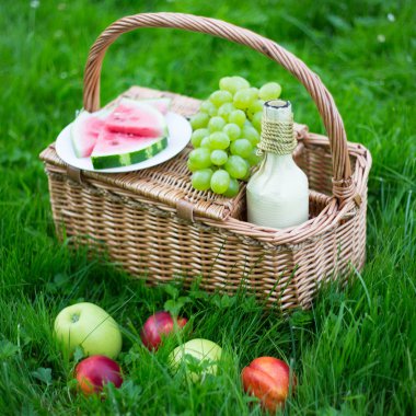 piknik sepeti meyve ve şarap Park ile