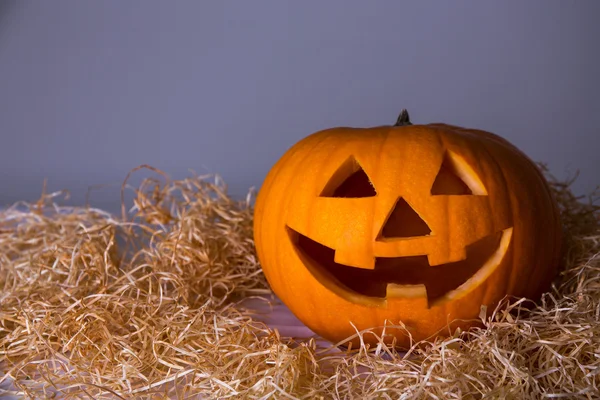 Koncept Halloween - dýně velký Jack-O-lucernou nad šedá — Stock fotografie