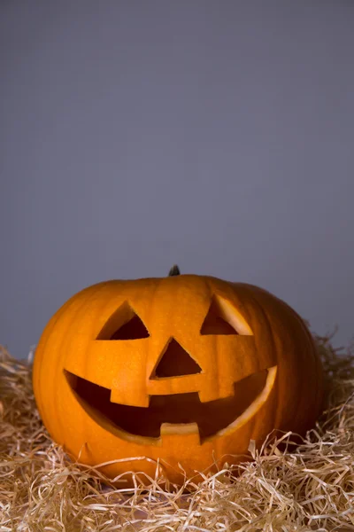 Halloween koncept - zblízka dýňová Jack-O-lucerny nad šedá — Stock fotografie