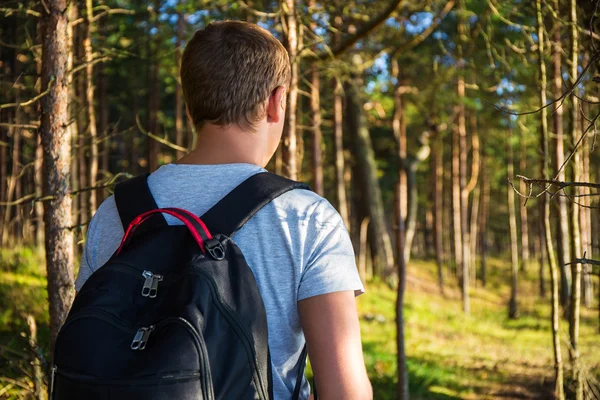 Back view of man hiking in forest — Stock Photo, Image