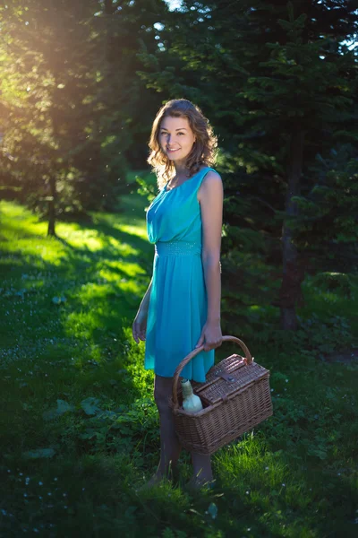 Hermosa mujer con cesta de picnic y botella de vino por noche — Foto de Stock