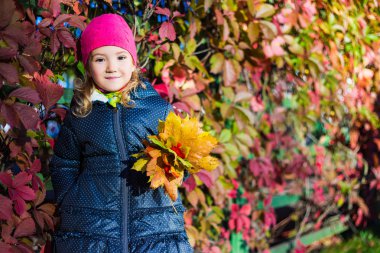 sonbahar kavramı - renkli küçük kız parkta bırakır.