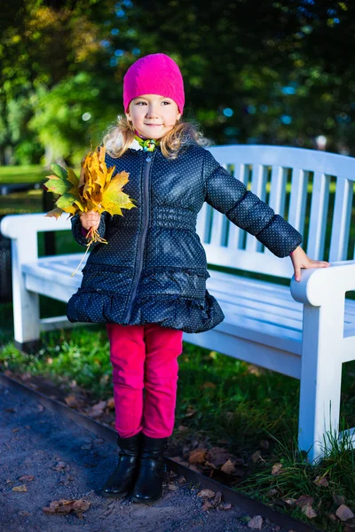 Retrato da bela moça com maple folhas no parque — Fotografia de Stock