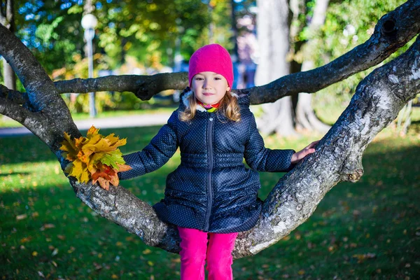 Kleines Mädchen sitzend auf AST im Herbst-park — Stockfoto