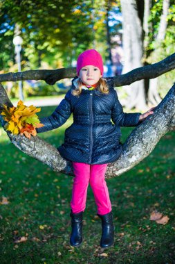 ağaç dalı sonbahar parkta oturan sevimli kız