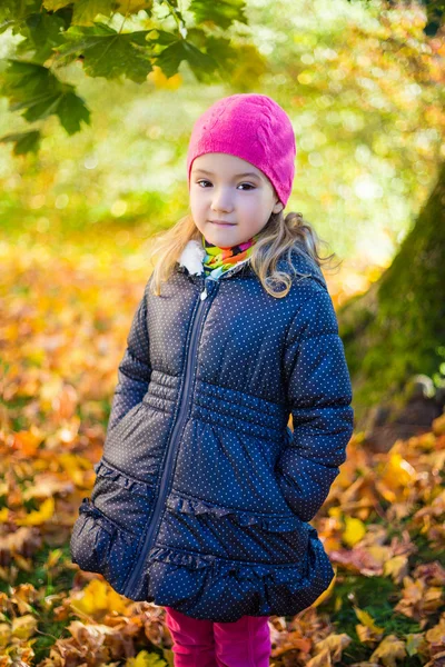 Portret cute dziewczynka jesień Park — Zdjęcie stockowe