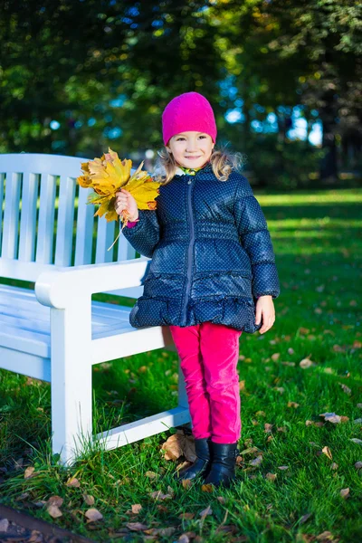 Portret uśmiechający się piękną dziewczynę stojącą z klon liście w — Zdjęcie stockowe