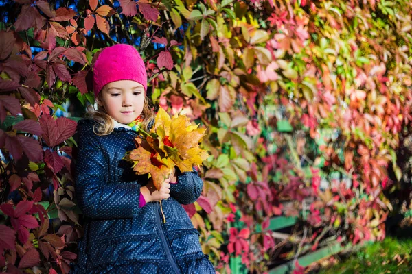 Herfst concept - dagdromen meisje met gele bladeren in p — Stockfoto