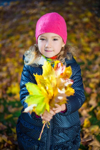 Bambina felice con il mazzo di acero lascia nella sosta di autunno — Foto Stock