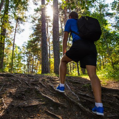 Hiking kavramı - erkek uzun yürüyüşe çıkan kimse ormandaki sırt çantası ile Arkadan Görünüm